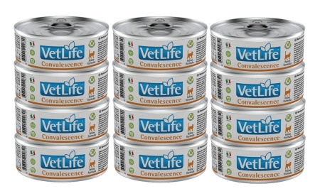 no pork Farmina Vet Life Feline Convalescence 12x85g