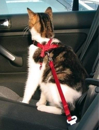 Trixie Cat Car Harness TX-1294