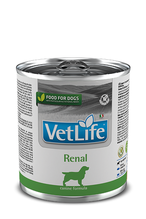 NO PORK Farmina Vet Life Canine Renal 12x300g