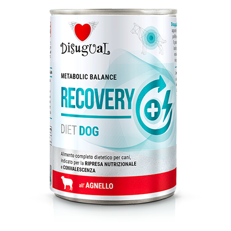 Disugual Wet dog food Veterinary RECOVERY Lamb (adult) 6x400g