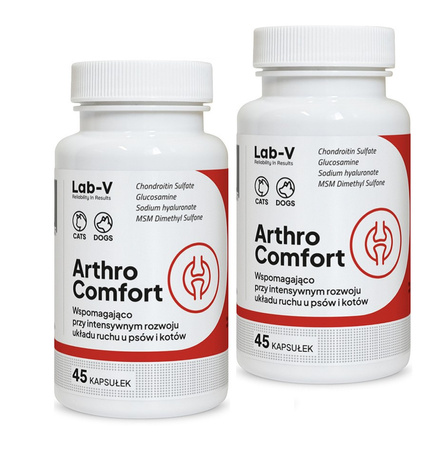Lab-v Arthro Comfort – Comprehensive support for joint and musculoskeletal health in dogs and cats 2x45 capsules