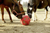 KERBL HeuBoy horse ball