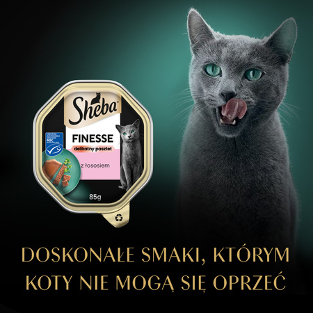 SHEBA Finesse tray 85 g – complete wet food for adult cats, with salmon, in pâté