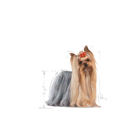 NO PORK ROYAL CANIN Yorkshire Terrier Adult 7.5kg