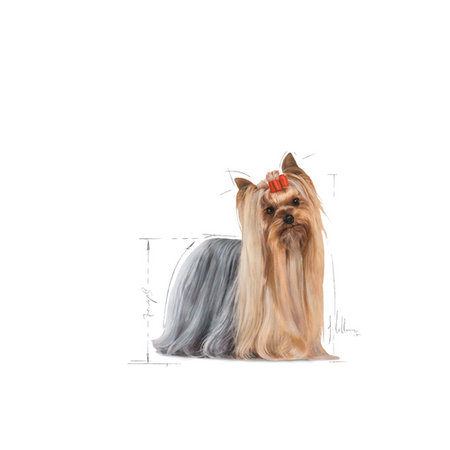 ROYAL CANIN Yorkshire Terrier Adult 12x85g