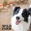 WILD FARM lamb sticks 2x500g dog treats