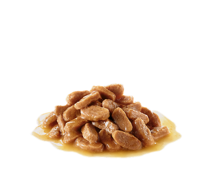 ROYAL CANIN Medium Puppy 10x140g