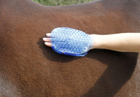 Covalliero Magnetic Horse Massage Comb