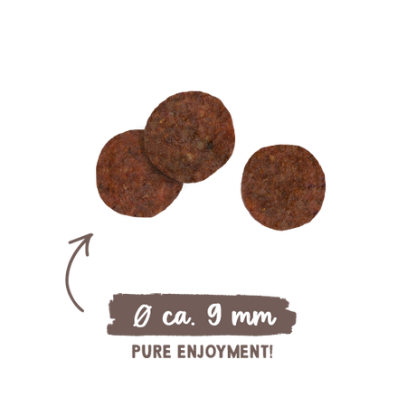 BOSCH Sanabelle Adult Sensitive Lamb 8kg