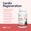 Lab-v Cardio Regeneration – Support for the proper functioning of the heart and circulatory system for dogs and cats 45 capsules