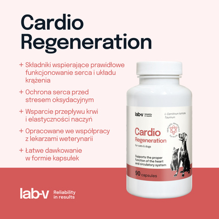 Lab-v Cardio Regeneration – Support for the proper functioning of the heart and circulatory system for dogs and cats 2x90 capsules