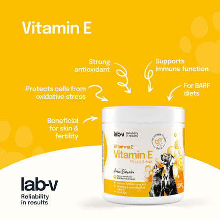 Lab-v Vitamin E – natural antioxidant protection for cells 200 g