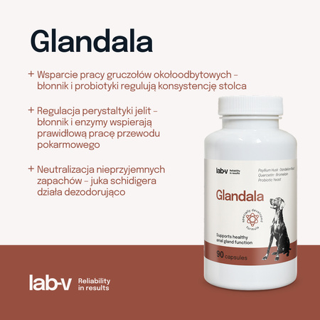 Lab-v Glandala - Supports the proper functioning of the anal glands and digestive tract in dogs 90 capsules