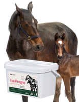 Lab-v EquiPregna Complementary feed mixture for pregnant and lactating mares, supporting pregnancy, fetal development, and milk production 2000g