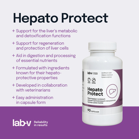 Lab-v Hepato Protect – Liver support for dogs and cats 90 capsules
