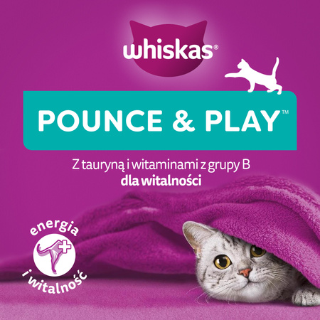 WHISKAS Energy and Vitality 45g – cat treat with chicken