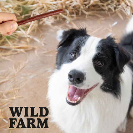 WILD FARM beef sticks 2x500g dog treats