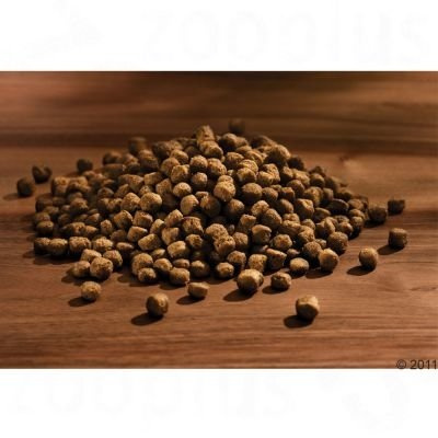 HappyDog Mini Adult 4kg