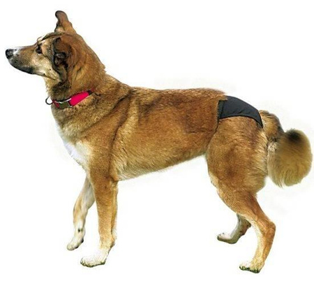 Trixie Protective Panties for Bitches Black S