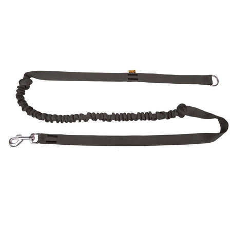 Dingo Leash with Shock Absorber and Handle, Black, 170 cm