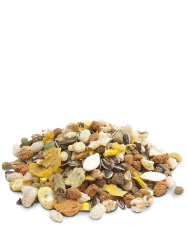 Versele-Laga Crispy Muesli - Hamster&amp;Co 1kg