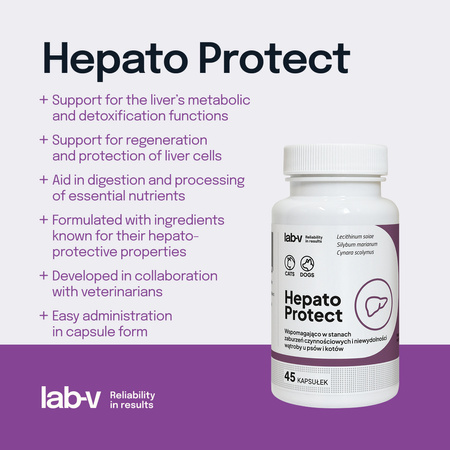 Lab-v Hepato Protect – Liver support for dogs and cats 2x45 capsules