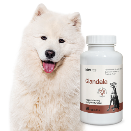 Lab-v Glandala - Supports the proper functioning of the anal glands and digestive tract in dogs 2x90 capsules 