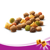 WHISKAS Dry Cat Food 1+ with Chicken 2x14kg