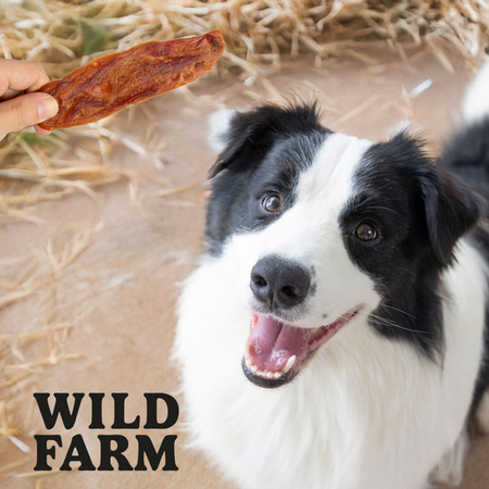 WILD FARM lamb fillet 500g dog treats