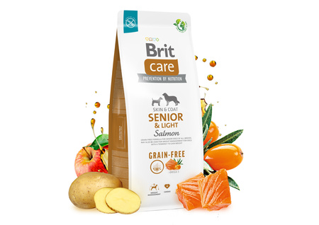 BRIT CARE Dog Grain-free Senior &amp; Light Salmon 12kg