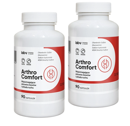 Lab-v Arthro Comfort – Comprehensive support for joint and musculoskeletal health in dogs and cats 2x90 capsules