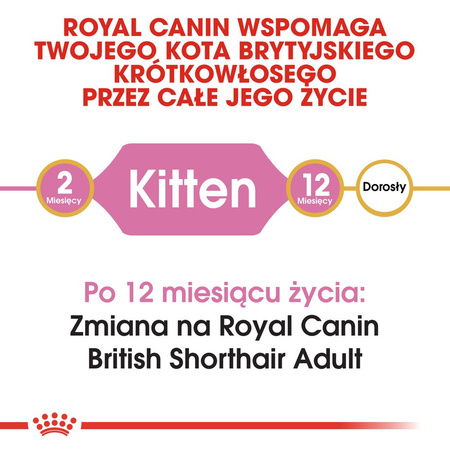 ROYAL CANIN British Shorthair Kitten 2kg dry food for kittens, up to 12 months, British Shorthair breed