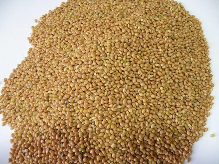 ALEGIA Millet 350g