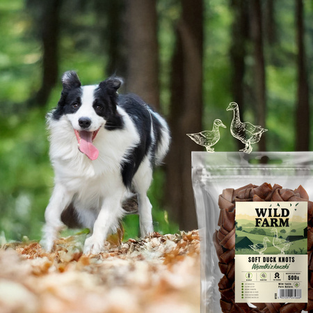 WILD FARM Duck Knots 500g dog treats