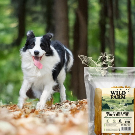 WILD FARM multivitamin yam fillets 500g dog treat