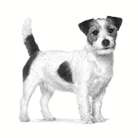 no pork ROYAL CANIN Satiety Weight Management Small Dog 3kg
