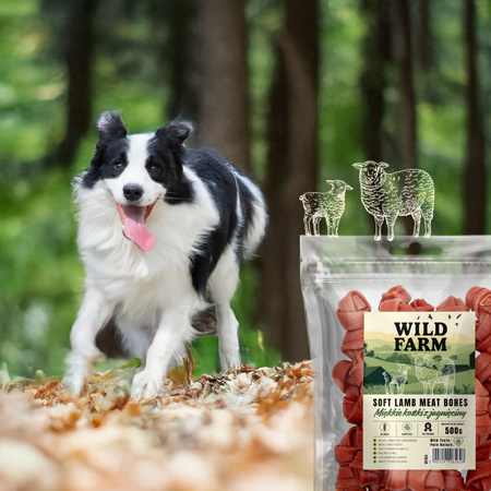 WILD FARM Soft lamb cubes 500g dog treats
