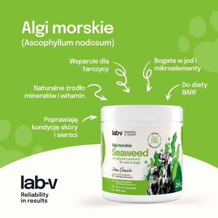 Lab-v Sea Algae – a natural source of iodine and minerals for dogs and cats, 400 g