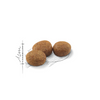 ROYAL CANIN Sterilised 37 2kg