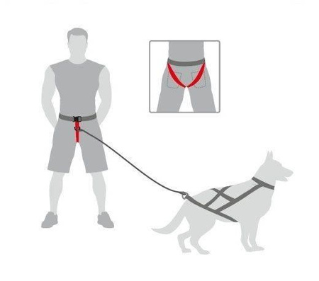 Dingo Dog Running Belt up to 120cm