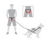 Dingo Dog Running Belt up to 120cm