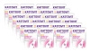 no pork Kattovit Diabetes/Geating Chicken 24x85g