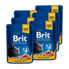 NO PORK Brit Premium Cat for Adult Cats with Salmon and Trout 6x100g