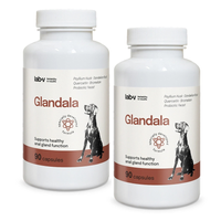 Lab-v Glandala - Supports the proper functioning of the anal glands and digestive tract in dogs 2x90 capsules