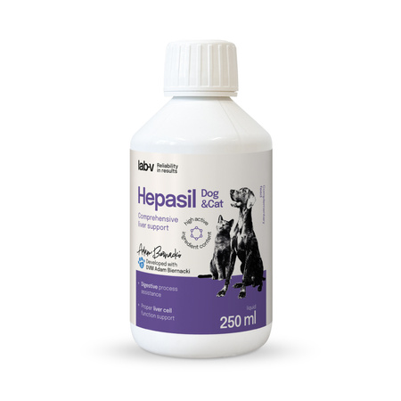 Lab-v Hepasil Dog & Cat preparation for improving liver function in dogs and cats 2x250 ml