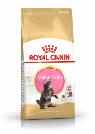 ROYAL CANIN Maine Coon Kitten 400g
