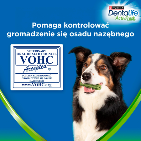 Purina Dentalife Activefresh Large 142g