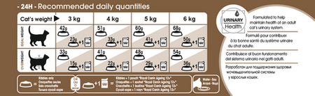 no pork ROYAL CANIN Ageing +12 2kg