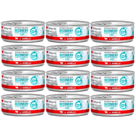 Disugual Wet Cat Food Veterinary RECOVERY Lamb (adult) 12x85g