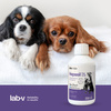 Lab-v Hepasil Dog & Cat preparation for improving liver function in dogs and cats 2x250 ml